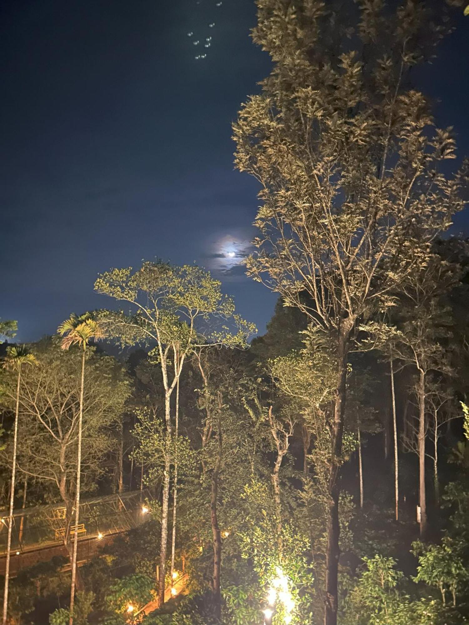 Sylvan Resort Wayanad Exteriér fotografie