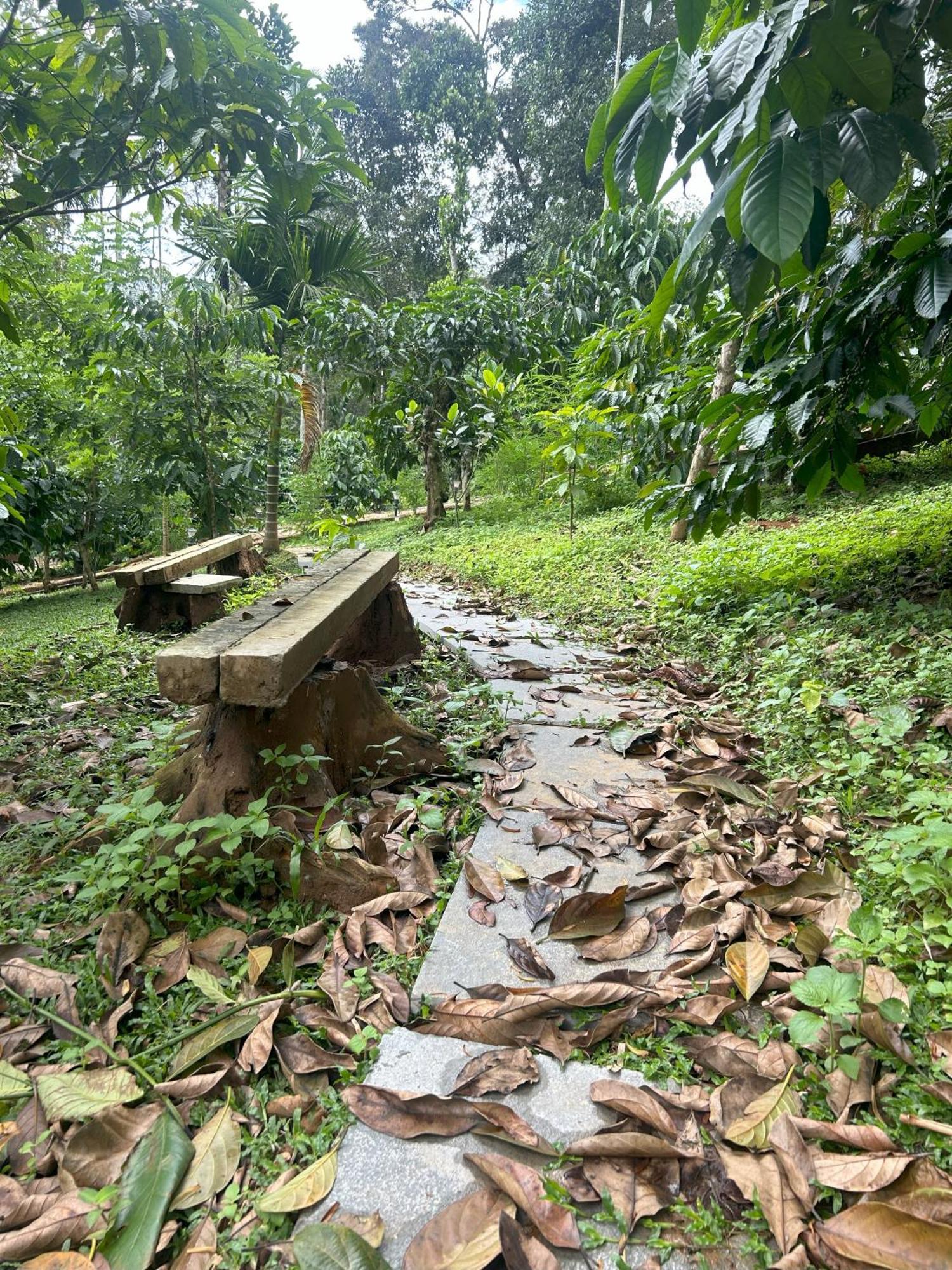 Sylvan Resort Wayanad Exteriér fotografie