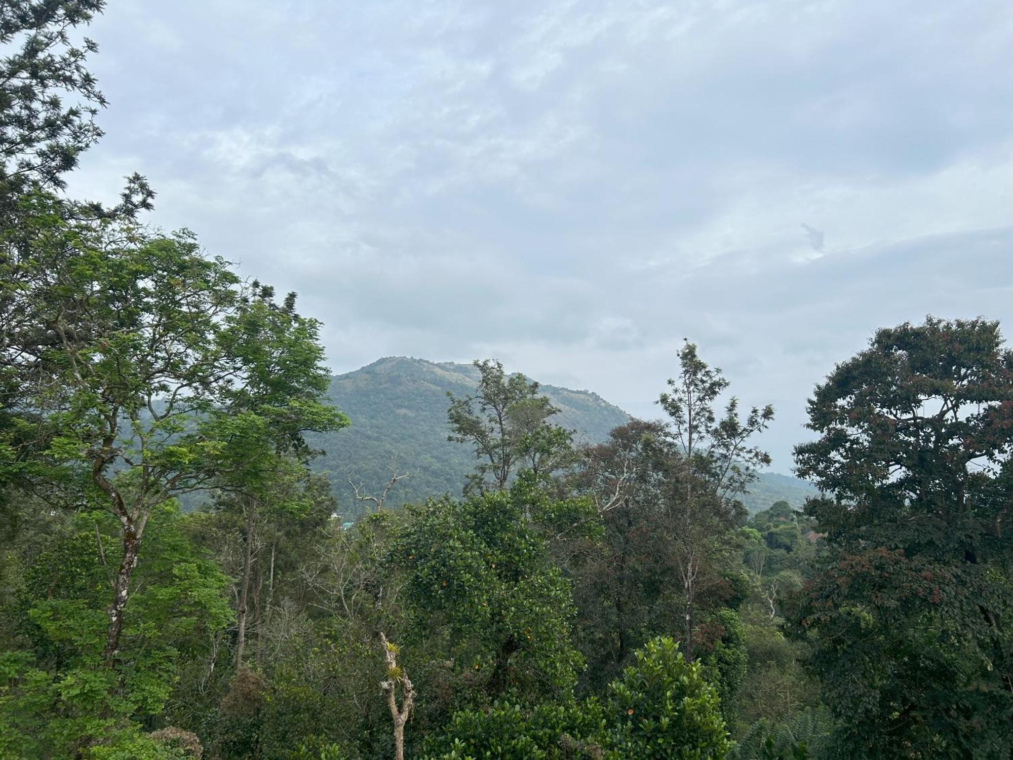 Sylvan Resort Wayanad Exteriér fotografie