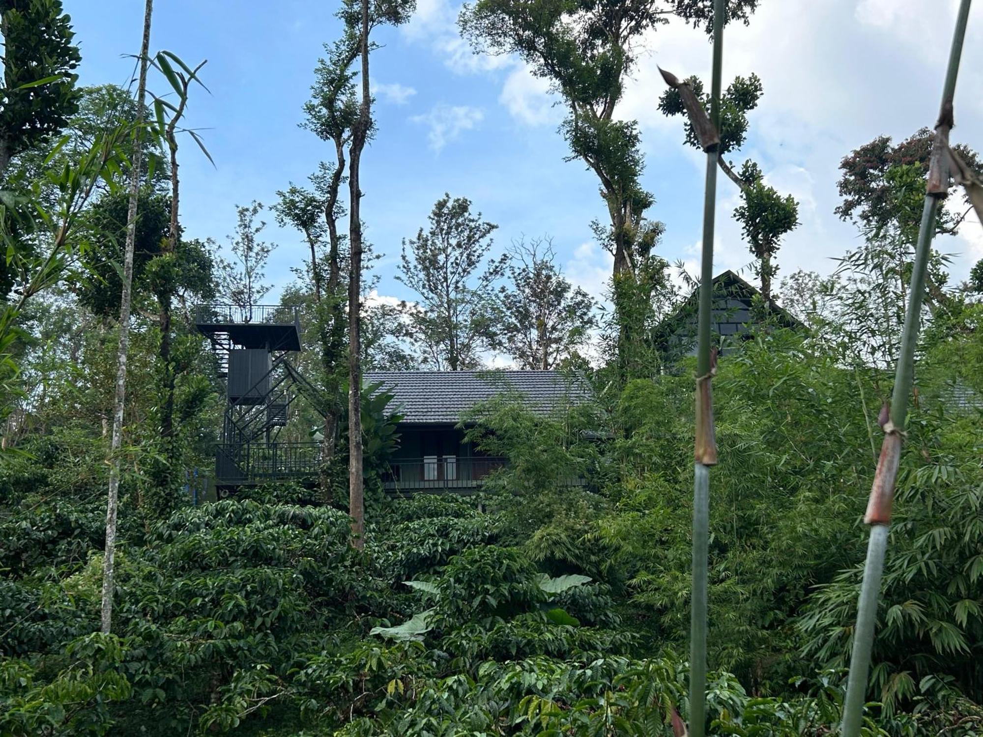 Sylvan Resort Wayanad Exteriér fotografie