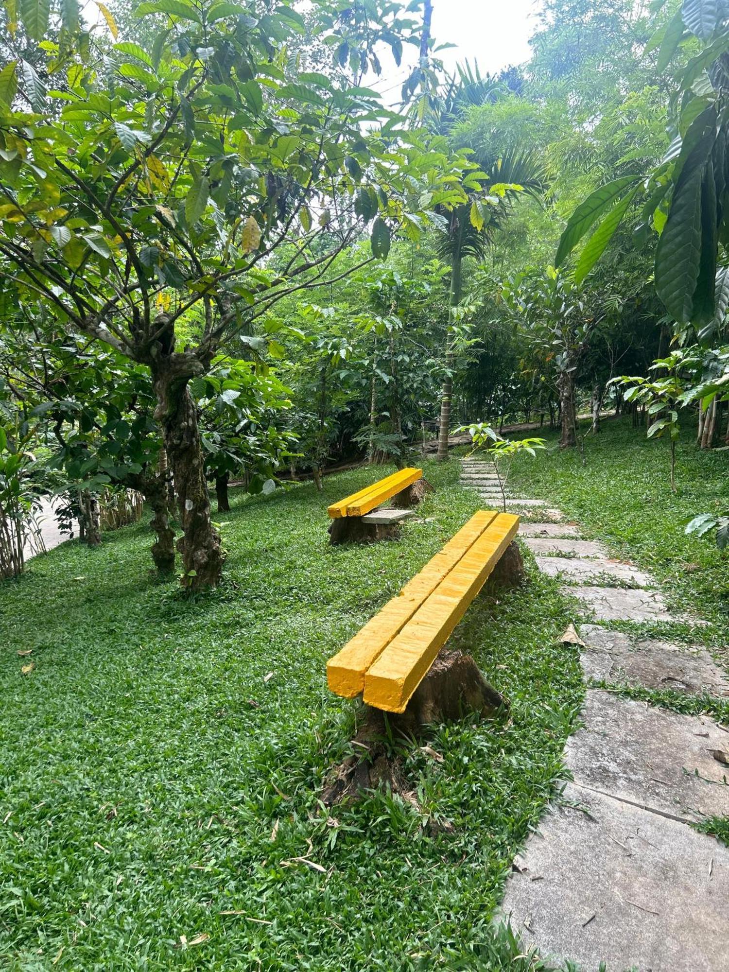 Sylvan Resort Wayanad Exteriér fotografie